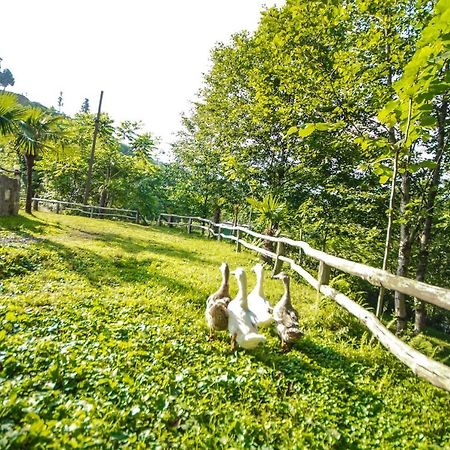 Oasis Gasamania Hotel Batoemi Buitenkant foto