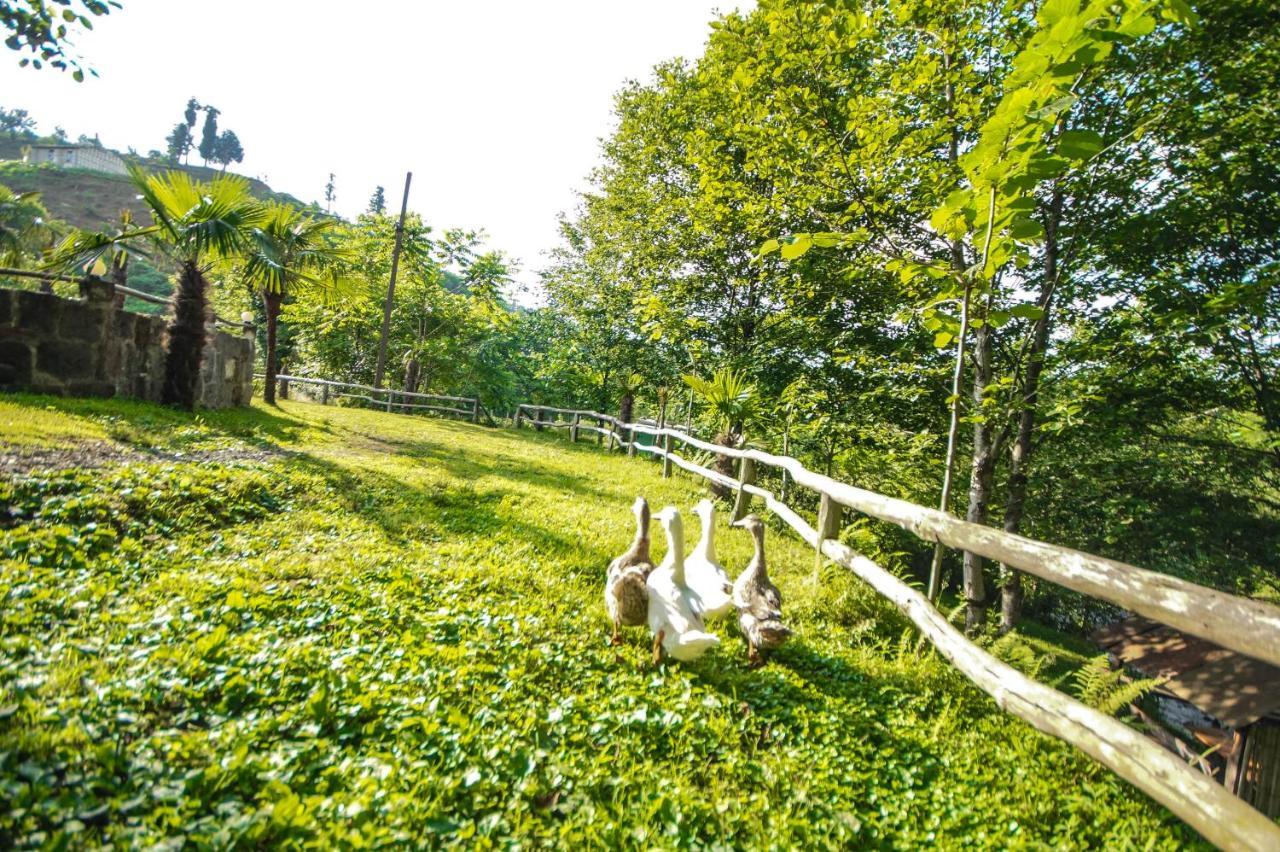 Oasis Gasamania Hotel Batoemi Buitenkant foto